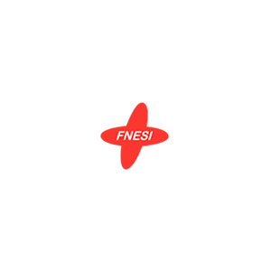 Logo fnesi