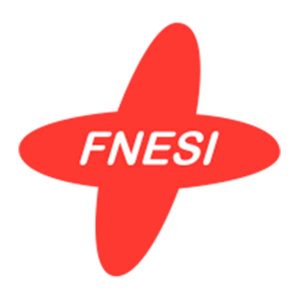 Logo FNESI