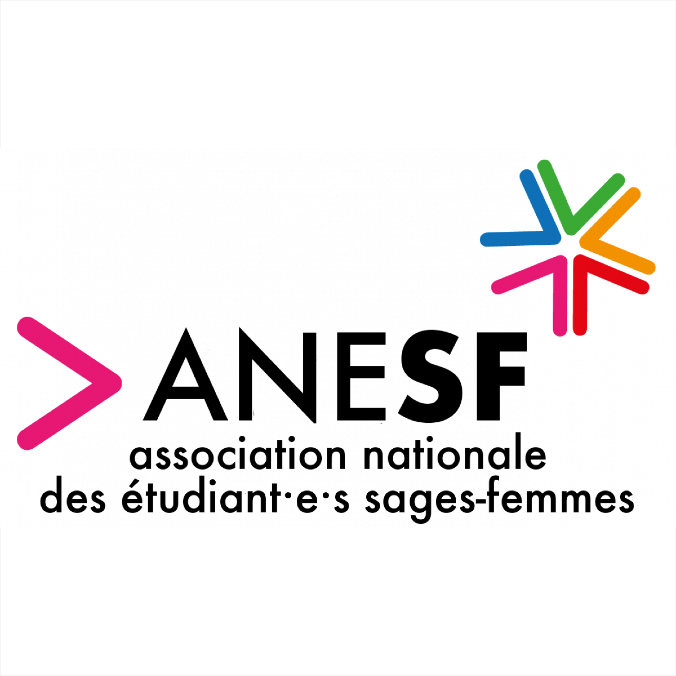Association Nationale des Etudiants Sages-Femmes